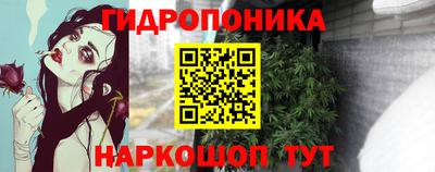 СК Рязань
