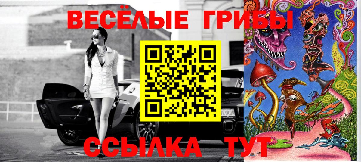 Псилоцибиновые грибы мицелий Копейск