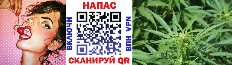 Бошки марихуана марихуана Копейск